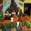Centre for Sustainable Food Systems at UBC Farm