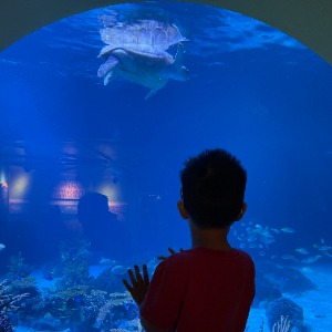 Atlas's Profile Image