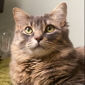 Laura's Profile Image