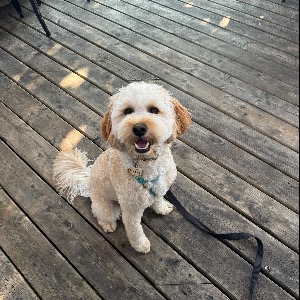 Alison's Profile Image