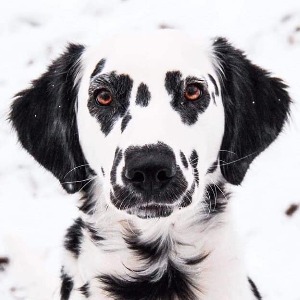 Delaney's Profile Image