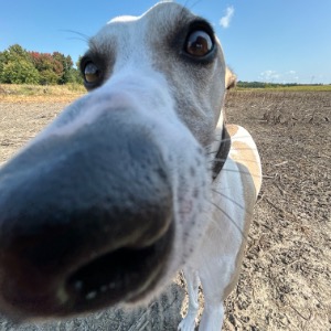 Erin's Profile Image