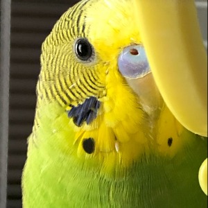 Richard's Profile Image