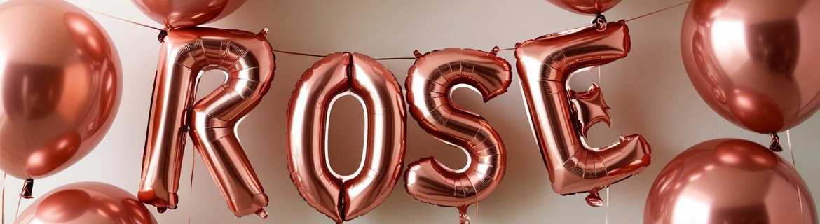 Rose's 10th Birthday Humane Society Fundraiser Banner Image