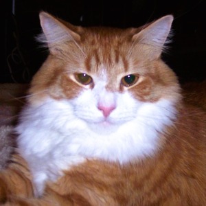 Bob & Pat's Profile Image