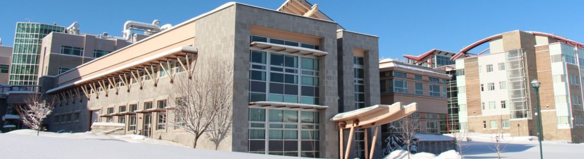 NMP 2028 Banner Image