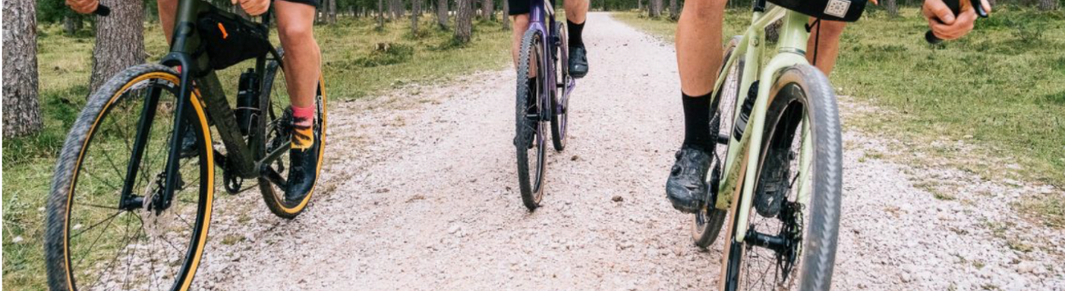 celebrate kids for who they are – not what they have Banner Image