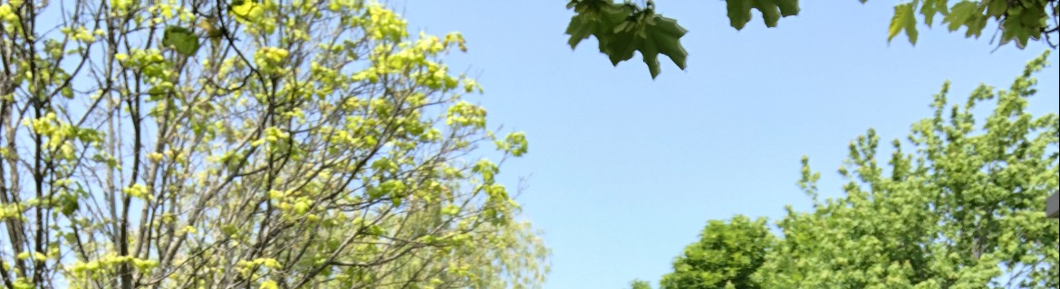 Marc for Team Bernadet Banner Image