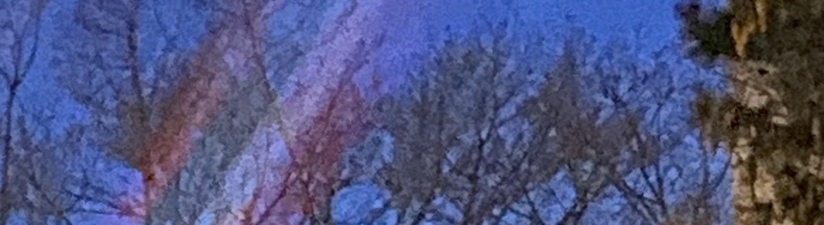The Wolf’s Banner Image