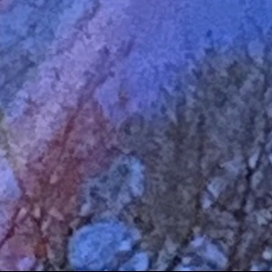 Ramona's Profile Image