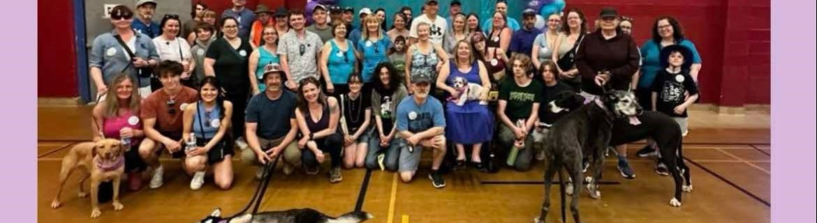 Team Linda's LOLs Banner Image
