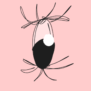 Brianna's Profile Image