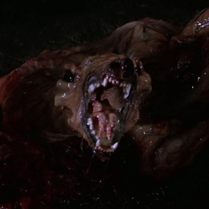 Gianni's Profile Image
