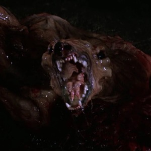 Gianni's Profile Image