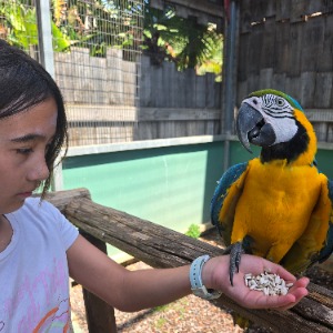 Chloé's Profile Image