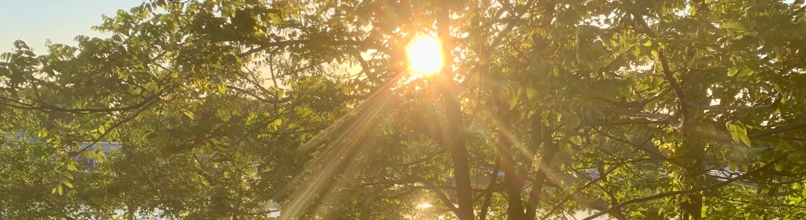 Melanie for “Walking with Chris to end ALS” Banner Image