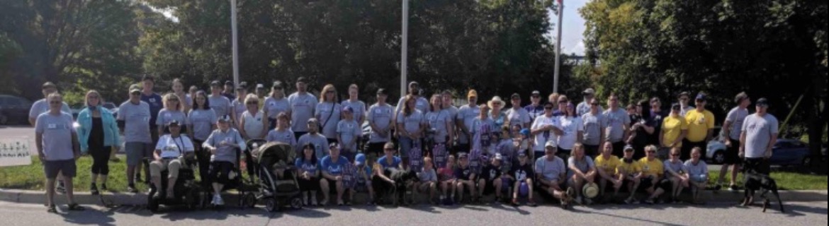 Silver Star Banner Image