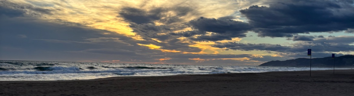 In honour of Tim Vanhecke Banner Image