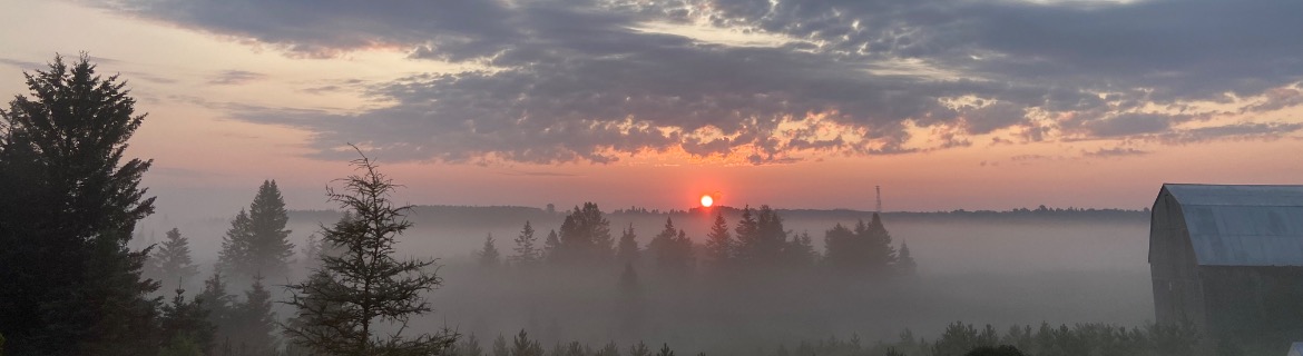 Robin for Team David Brady Banner Image