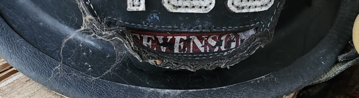 Team Stevenson Banner Image