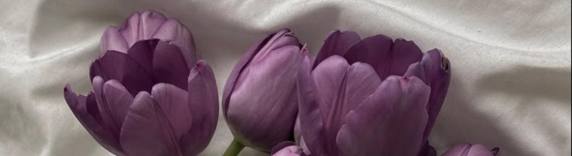 Stevie’s Page Banner Image