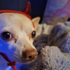 Azizah's Profile Image
