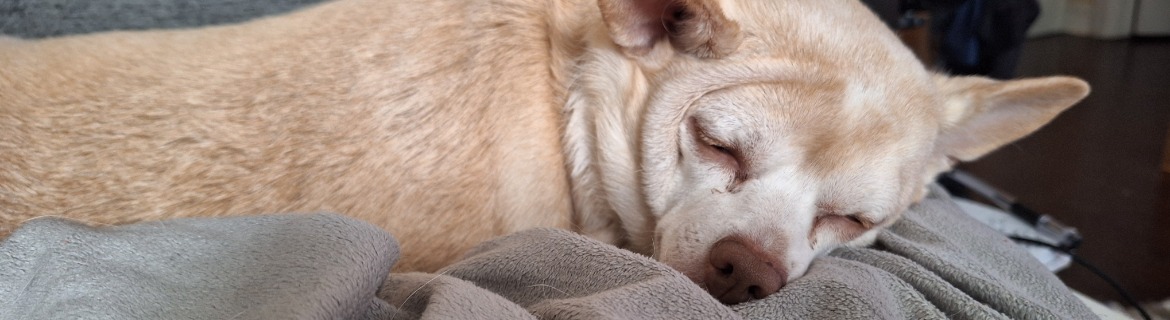 Felix Banner Image