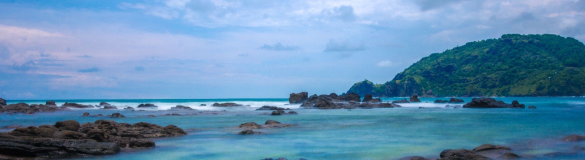 Carol Lee Poole Oceana in Memory Donation Banner Image