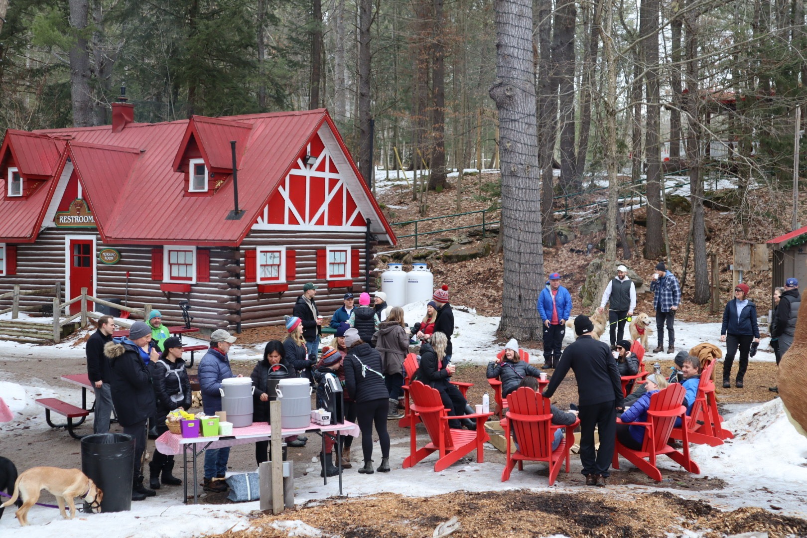 winter campfire and gathering in the woods
