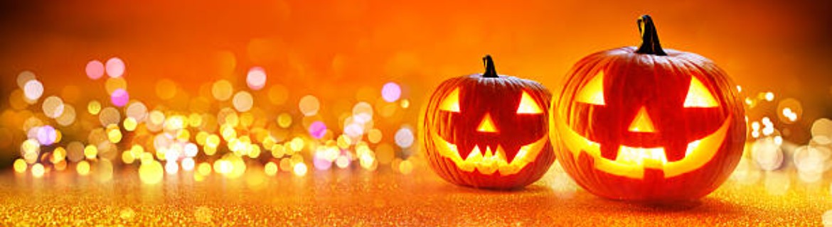 Halloween Wonderland Banner Image