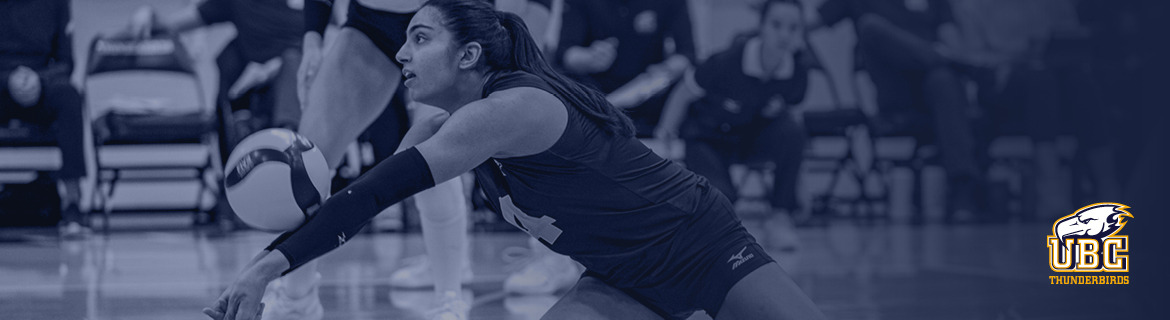 Women's Volleyball Banner Image