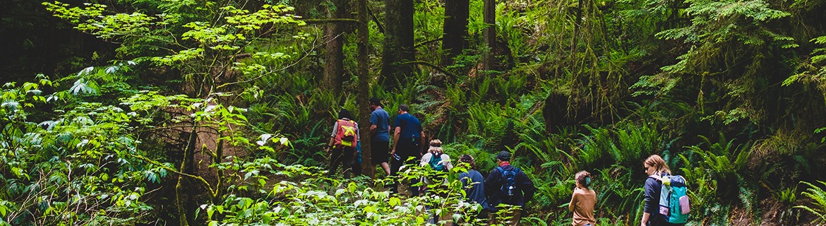 Forestry & Environmental Stewardship Banner Image