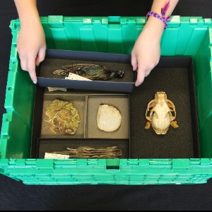 Beaty Biodiversity's Profile Image