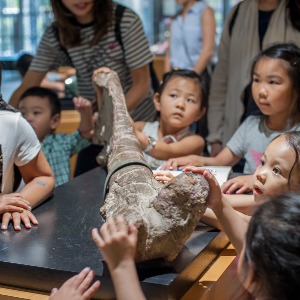 Pacific Museum's Profile Image