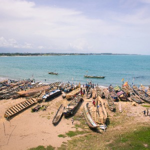 Africa-UBC Oceans & Fisheries's Profile Image