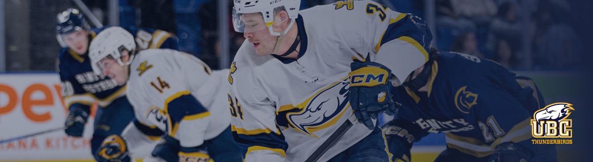 Men's Hockey Banner Image