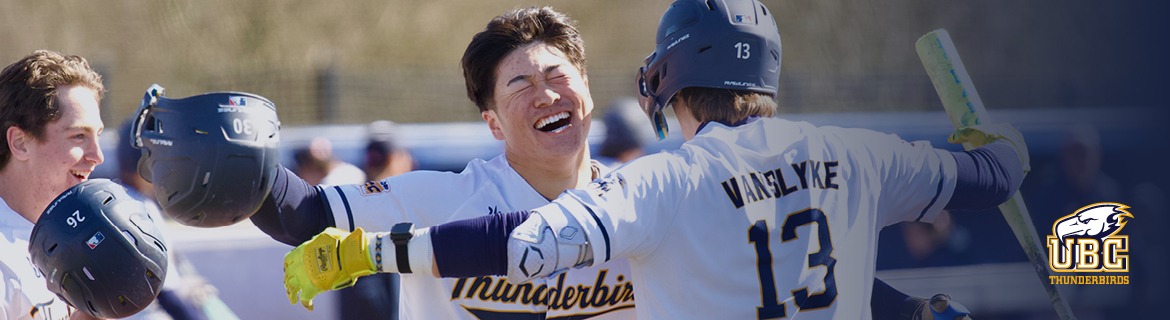 Baseball Banner Image