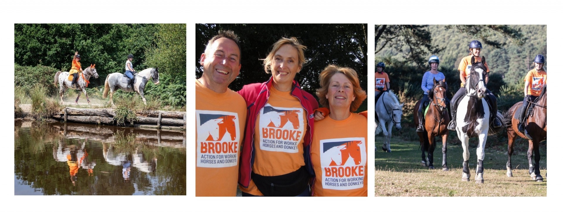 collage with three images of Brooke fundraisers