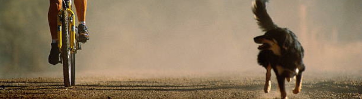 Aidan Kerr Banner Image