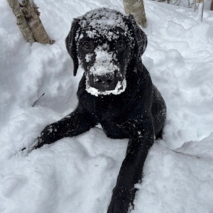 Carolyn's Profile Image