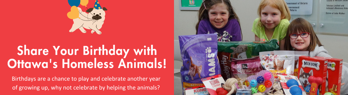 Serene's 9th Birthday Fundraiser Banner Image