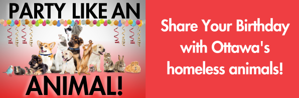 Share Your Birthday with Ottawa's Homeless Animals