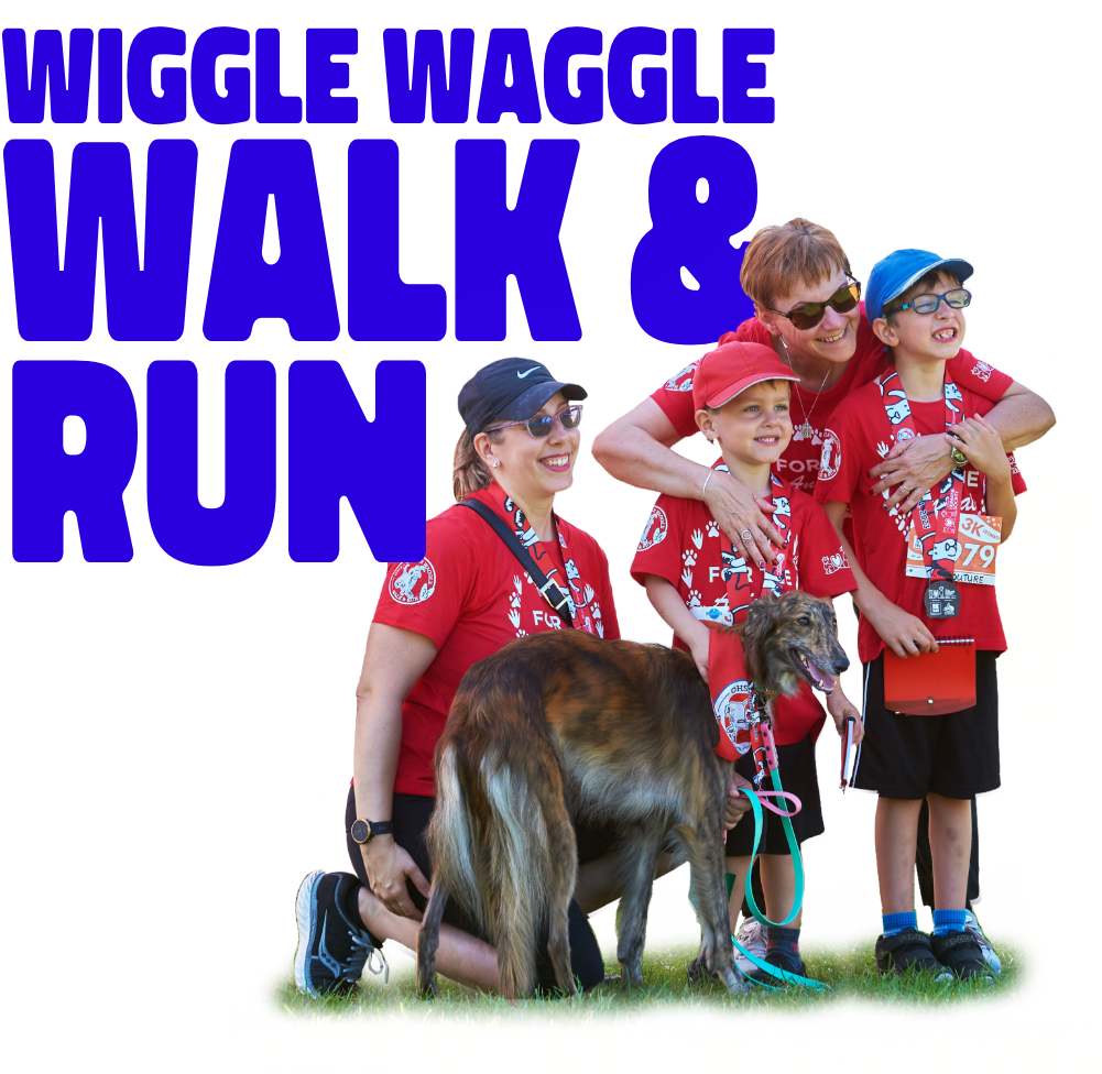 Wiggle Waggle run and walk