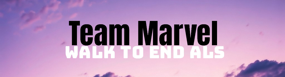Team Marvel Banner Image
