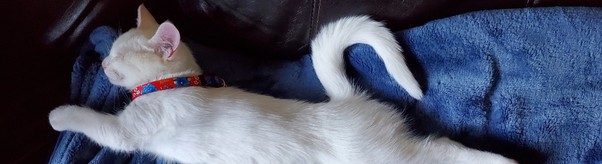 The Grimp Pit Banner Image