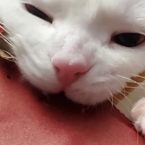 Stephen's Profile Image