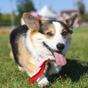 TeamOHS's Profile Image