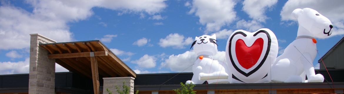 Team OHS Banner Image