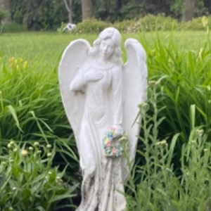 Lorraine's Profile Image