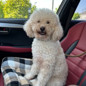 Samantha's Profile Image